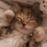 Profilbild von Maya
