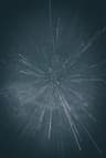 Profile picture of india7v